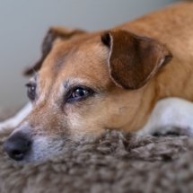 Fuji-XT3-Sample7