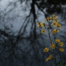 Fuji-XT30-Sample6