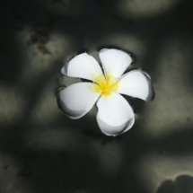 canon-M100-sample-03