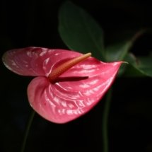 canon-M100-sample-05