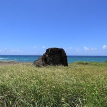canon-M100-sample-07