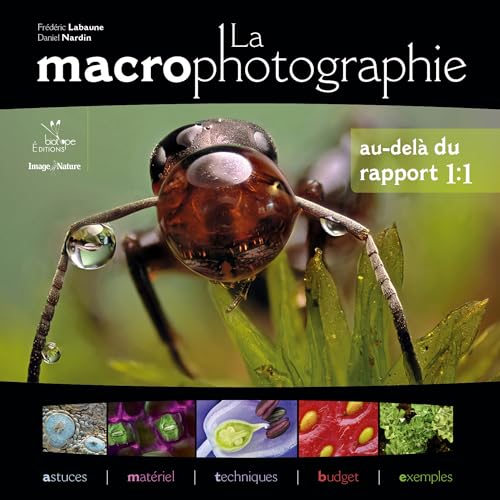 La macrophotographie, au-delà du rapport 1:1