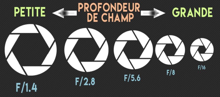 La profondeur de champ expliquée aux débutants | Apprendre la photo